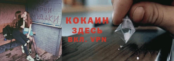 сатива Беломорск