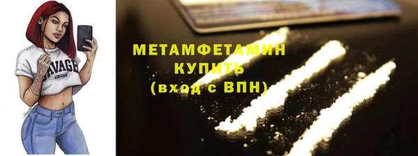 сатива Беломорск
