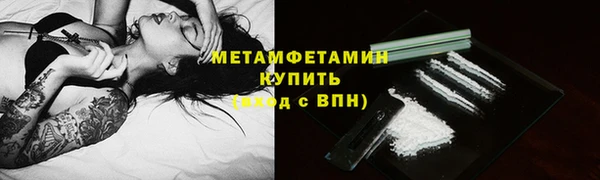 сатива Беломорск