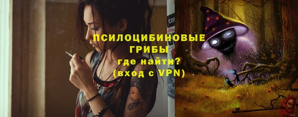 MDMA Богородицк